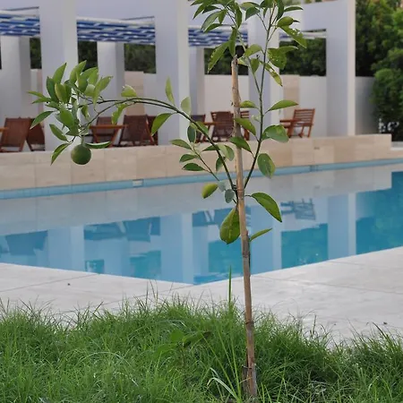 Hotel de apartamente Boutique Mim-a